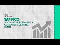 SAP FICO | Accounts Receivable - Customer Clearing Demo