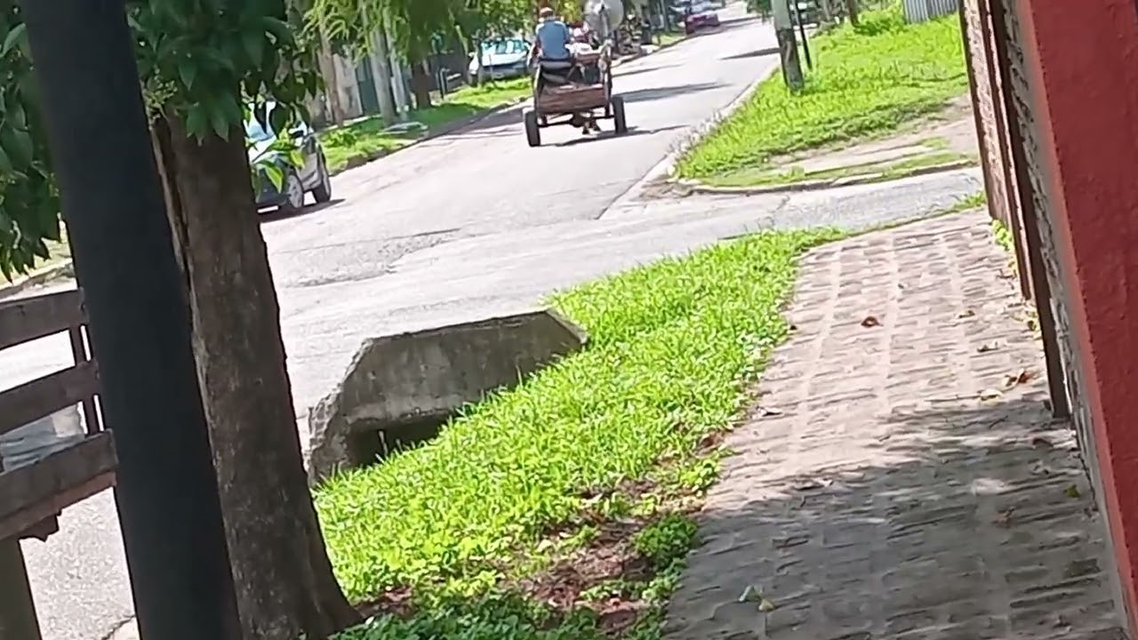 El Vendoro Con Megafono