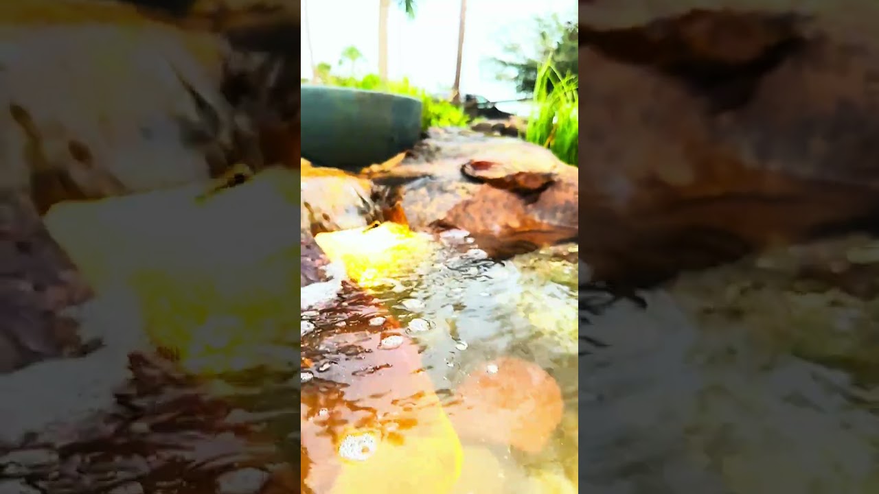 Front-Yard 'Falls + Fountain Bowl!