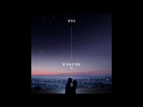 양정승   밤하늘의 별을 11