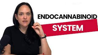 The Endocannabinoid System and Hedonic Appetite