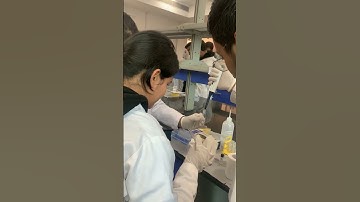 Bio Lab Easy Experiment #minivlog @mdreyaziitian