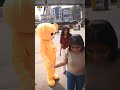 à à à à à à à à à à à à à à Šà à à ªà à à à à à Šà à à ðŸ Viralvideo Funny Trending à à à à à à à à à à à à à à Šà à à ªà à à à à à Šà à à ðŸ Viralvideo Funny Trending