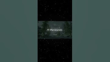 سورة المزمل|8ـ14|القارئ:#محمد_اللحيدان #قران #quran #راحة_نفسية #قران_كريم #تلاوة_هادئة #تلاوة_خاشعة