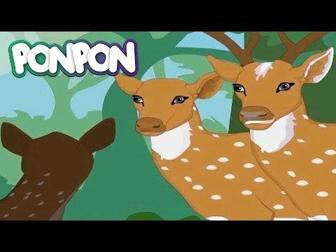 Jataka Masalları | Geyiğin Öğrencisi | Türkçe Full HD