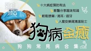 【狗主必睇】拆解十大狗狗常見病　《狗病全癒》電子書一按即睇！