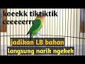 HOT.!!LOBET koek ngetik lanjut NGEKEK bikin LB bahan langsung panas dan nyaut NGEKEK.SANGAT AMPUH