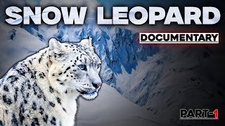 Snow leopard Documentary