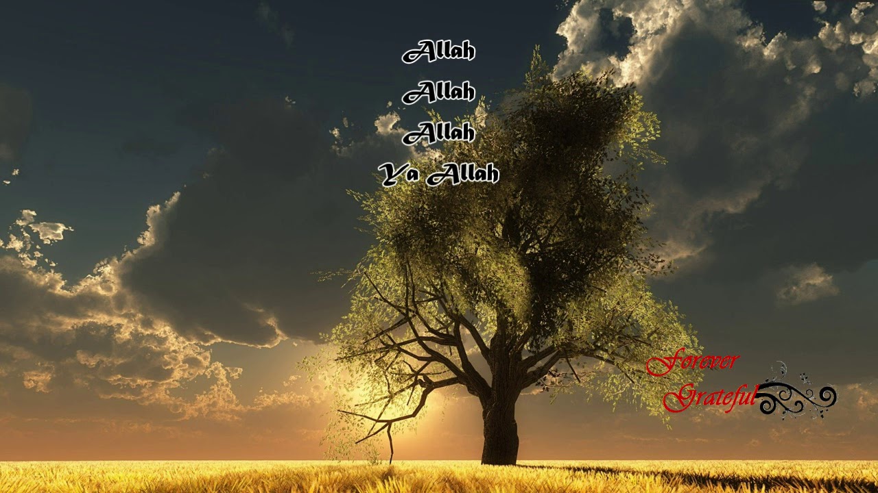 Beautiful Heart Melting Zikr for seeking forgiveness from Allah (swt)