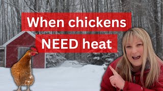 Why I heat my coop (An unpopular opinion)