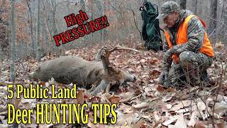 5 Ways to Deer Hunt Pressured Public Land
