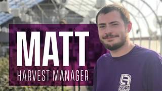 Matt Harvest Manager