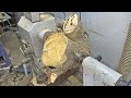 Woodturning - a Log of Old Maple