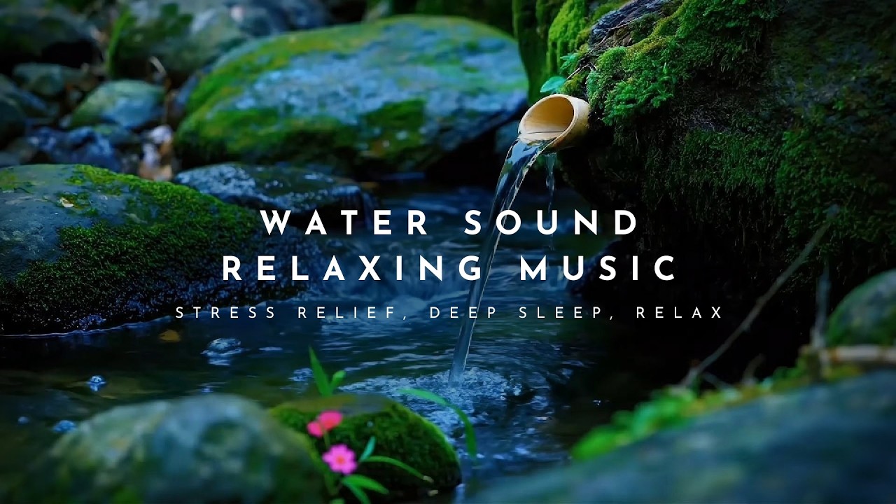 Relaxing Music and Water Sounds | Peaceful Music for Stress Relief, Deep Sleep, Relax