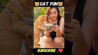 the😺 cats funny moment and history 😺😍🔰 #funnycats #catvideos #animalvideos #catfun 😺✅ #CuteAnimals ✅