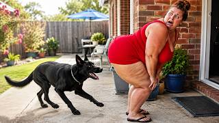 Try Not To Laugh 😂 Funny Fails That Turned Into Pure Internet Chaos