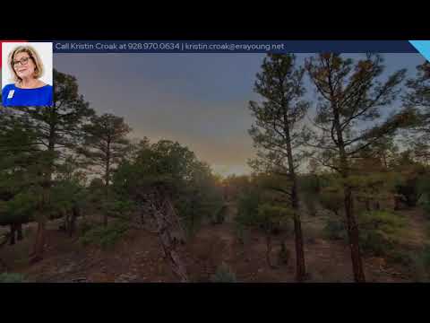 6889 Whispering Pine Drive, Happy Jack, AZ home video tour