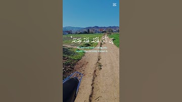 #القرآن_الكريم #راحة_نفسية #تلاوات #المصحف #لايك #صلوا_على_النبي