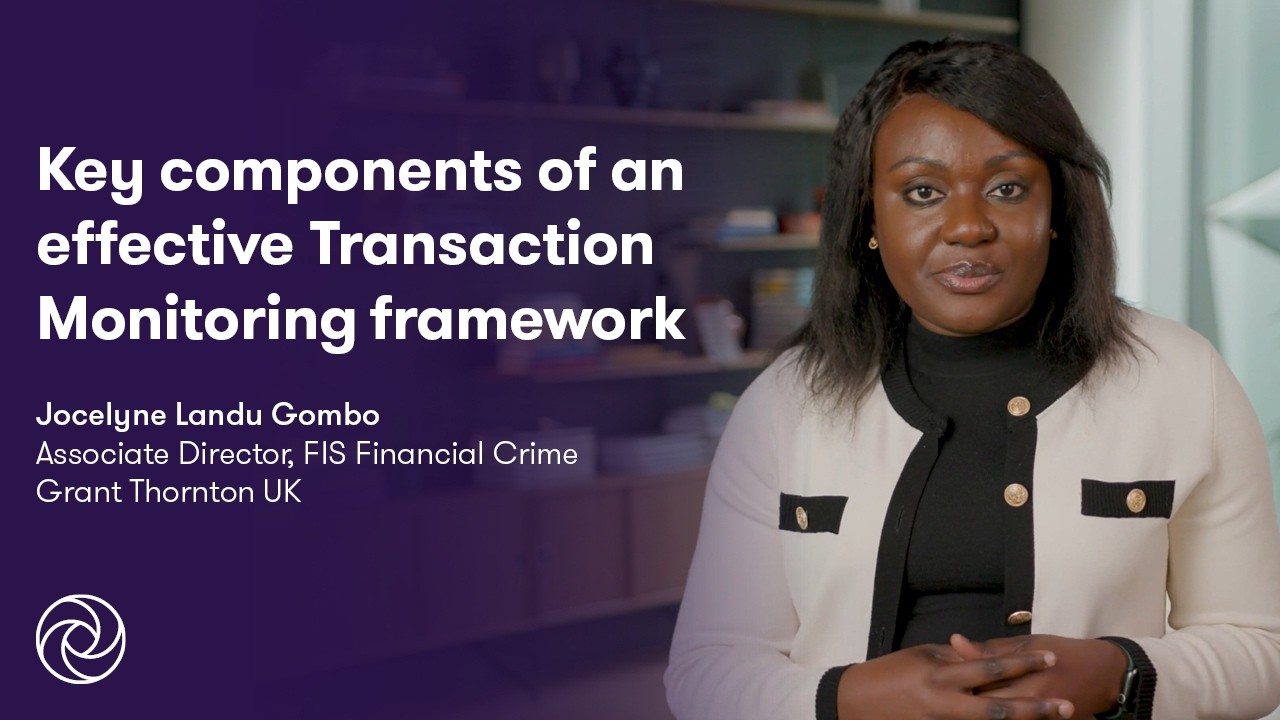 Key components of an effective Transaction Monitoring framework