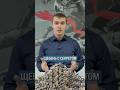 Почему нельзя экономить на щебне?