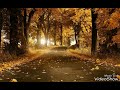 ياس خضر انه ادري يهواك القلب بعدك يعذب حالي 