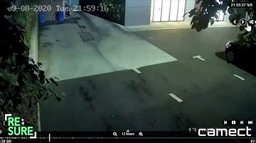 Camect Accurately Detects Van Through Foliage