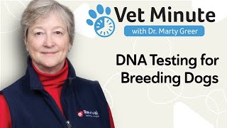 4 Types Of Dna Tests Every Dog Breeder Should Know Dr. Marty Greer Explains