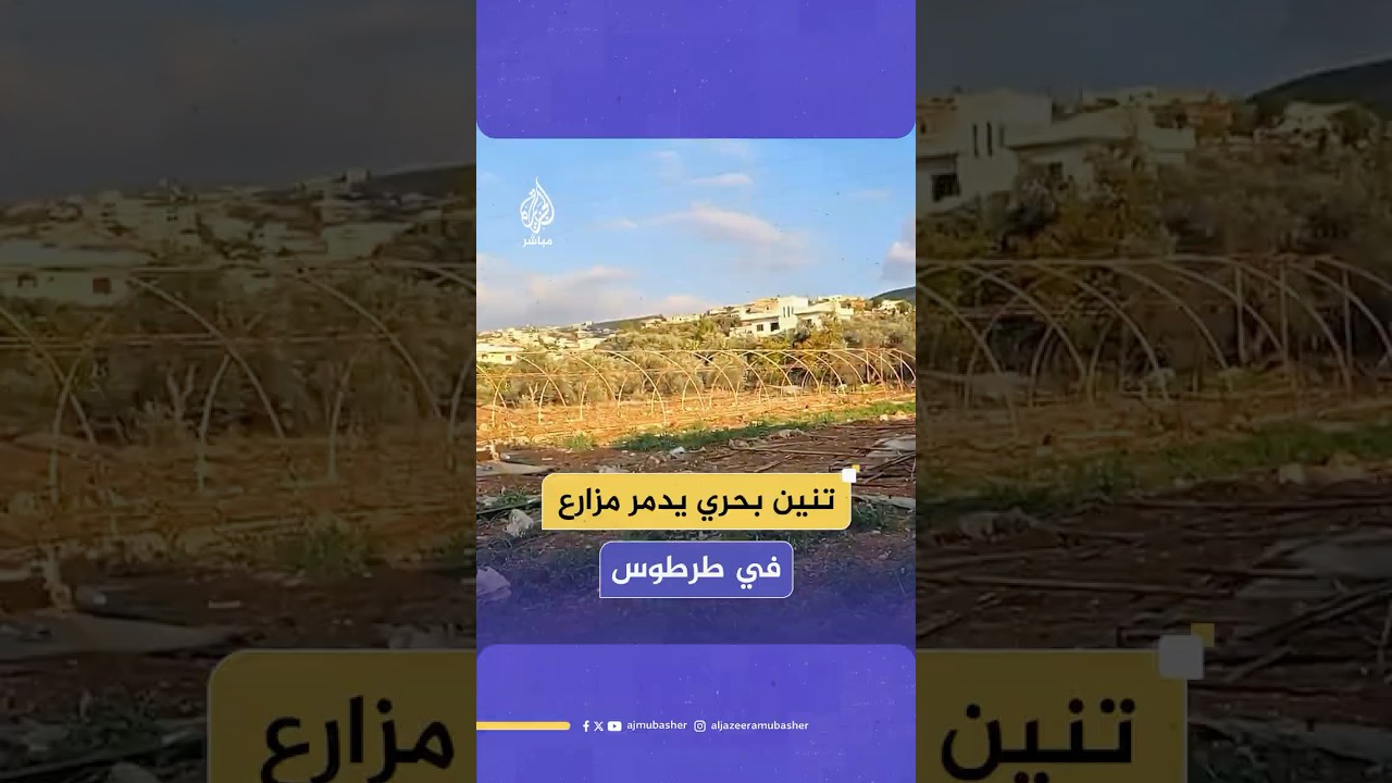 خسائر هائلة لعدد من المزارعين السوريين في محافظة طرطوس بعدما ضُربت المنطقة بظاهرة "التنين البحري"