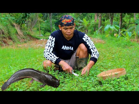 pecel lele daun semanggi/paku air petik disawah