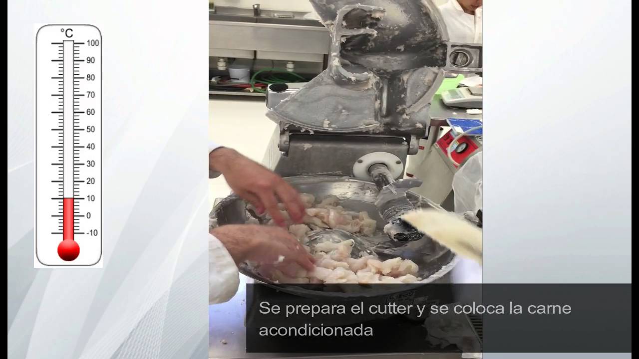 Elaboración de Surimi YouTube