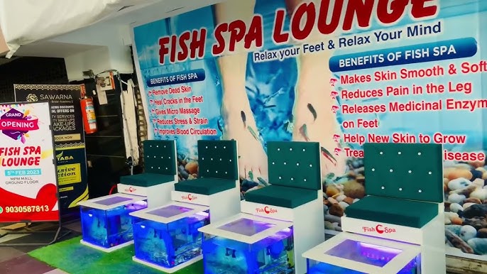 Try The Fish Spa And Help Yourself With These Benefits