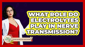 What Role Do Electrolytes Play In Nerve Transmission? - Your Nutrition Network