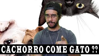 CACHORRO COME GATO, MITO OU VERDADE?