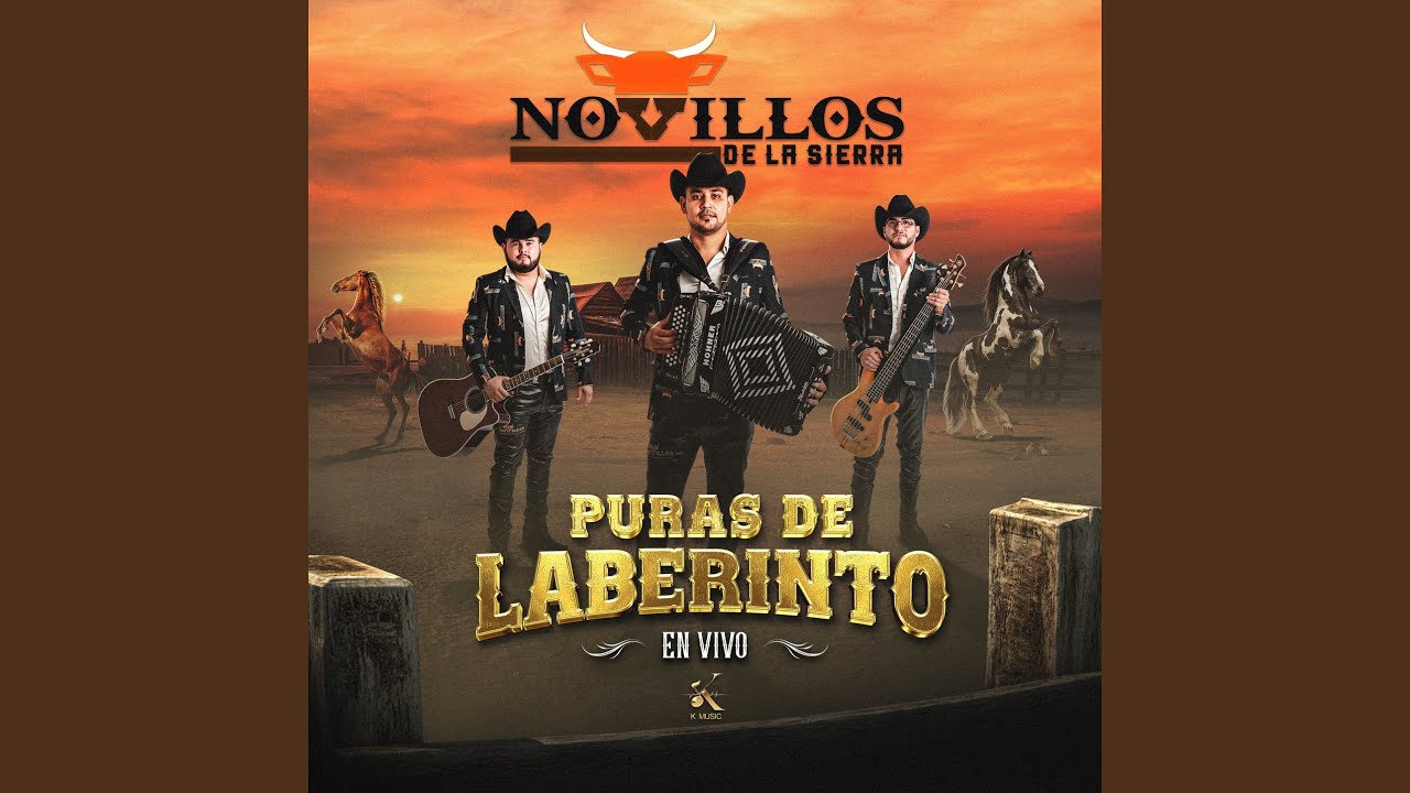 Misterio En Durango (En Vivo)