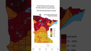 Wondering when’s the best time to see fall colors in Minnesota? Tap in the middle to pause the video