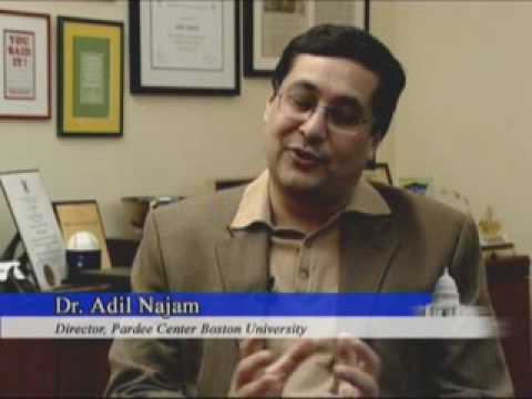 Dr. Adil Najam - All Things Pakistan - Part 1/4