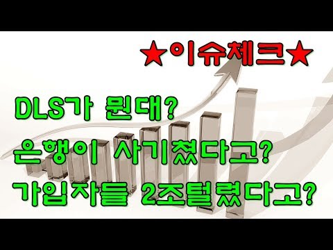 DLS가 뭐길래? ★이슈체크★