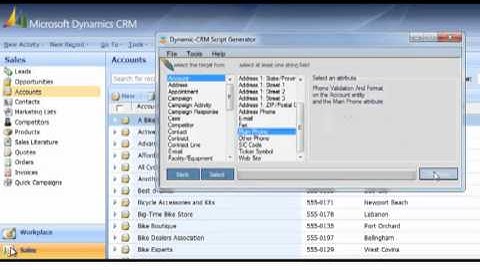 CRM Microsoft Dynamics: Phone Validation and Format Script from Script Generator Product