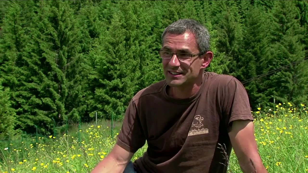 Lhomme qui apprenait a voler aux oiseaux   Documentaire