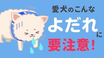 よだれ Youtube よだれ Youtube