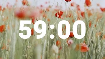 59 Minute Timer with Soothing Music | Stress Relief Countdown Clock