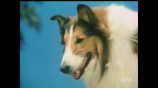 Lassie - Episode 571-572 - Mustang - Season 18, Eps. 10-11 - 12/09-16/1971
