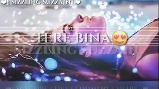 Tere bina yara jeene da swad koi na