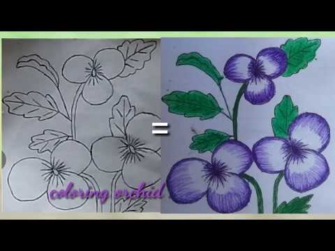 Cara mewarnai Bunga anggrek | how to color orchid