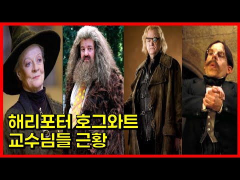 영화 ≪해리포터≫ 시리즈에 출연한 호그와트 교수역의 배우들은 뭐하고 살고있을까? (Part.1)