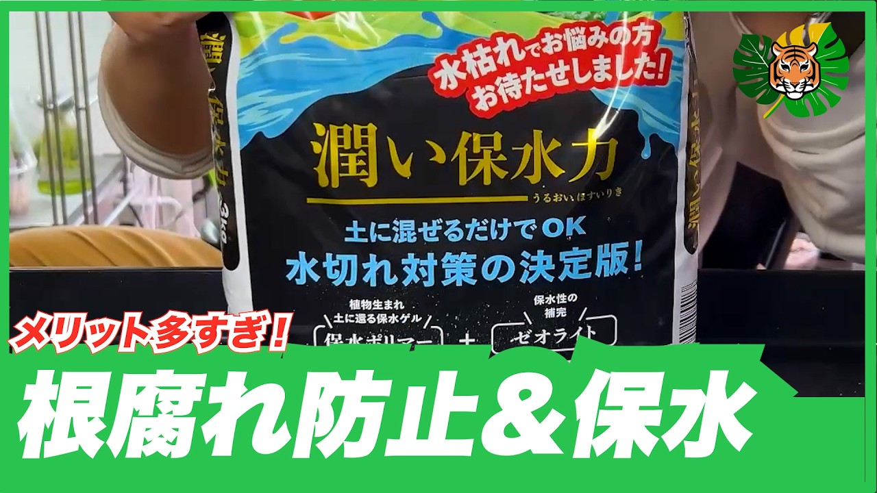 Is This a Miracle Product?] I Tried Komeri