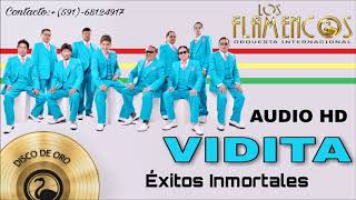 Video thumbnail of "Los Flamencos  de Bolivia - Vidita - Audio HD"