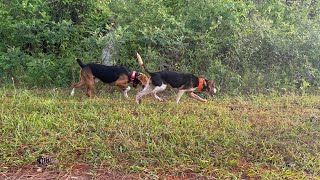 STAY READY, so you don’t have to get READY.