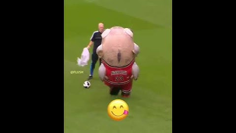 Crazy Mascot Moments + HIM ☠️