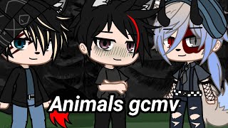 Animals gcmv|| Gacha ultra